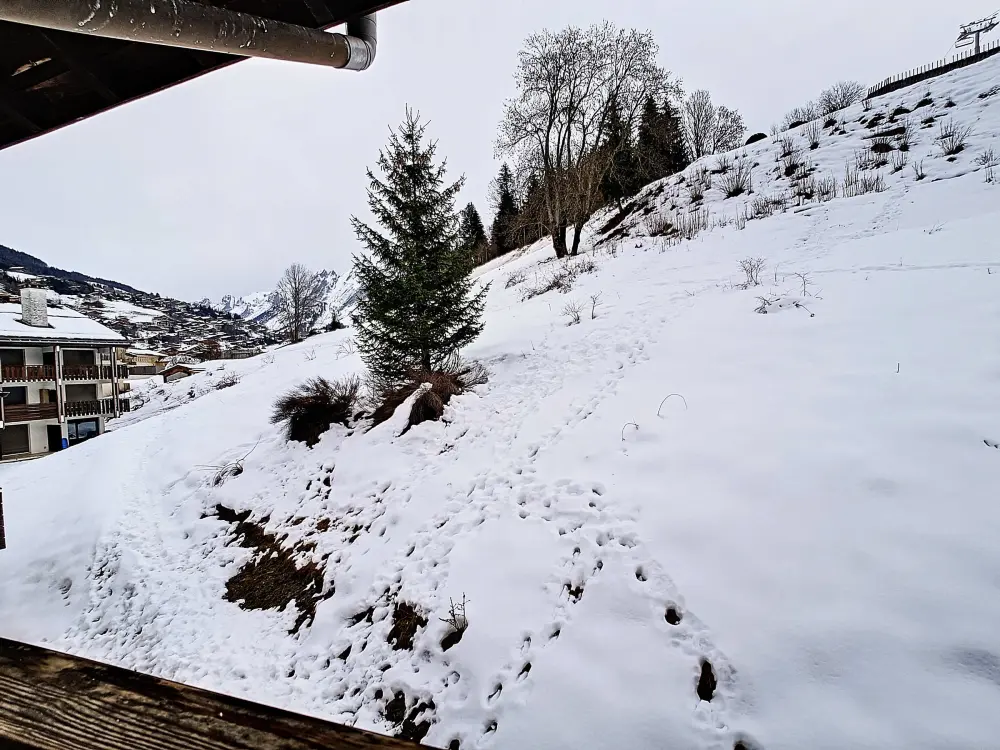Location de Vacances La Clusaz 531