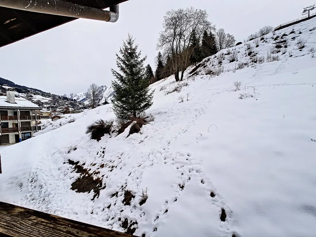 Location de Vacances La Clusaz 531