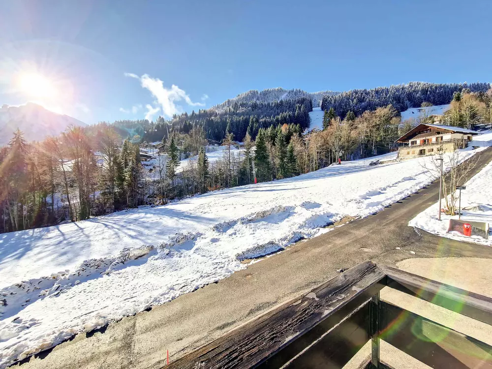 Location de Vacances La Clusaz 543