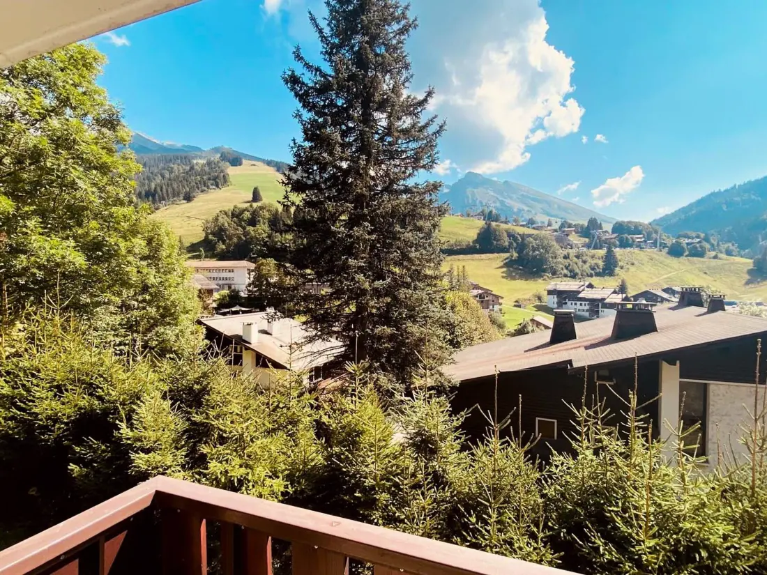 Location de Vacances La Clusaz 571