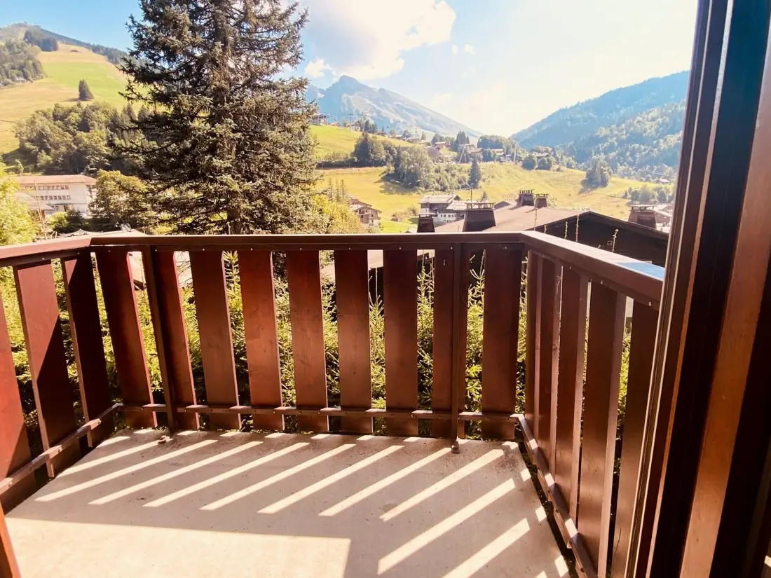 Location de Vacances La Clusaz 571