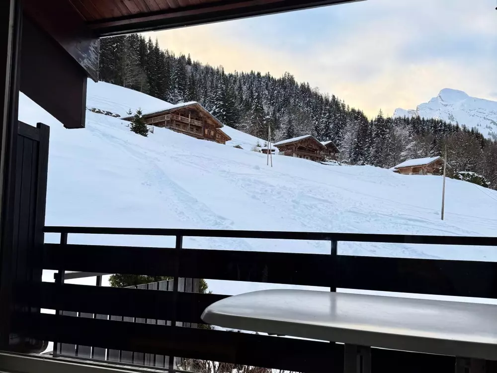 Location de Vacances La Clusaz 594