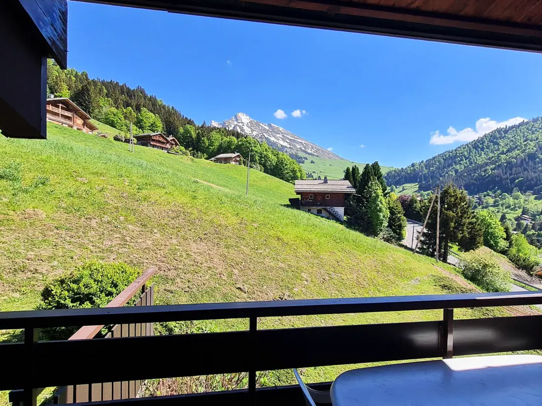 Location de Vacances La Clusaz 594
