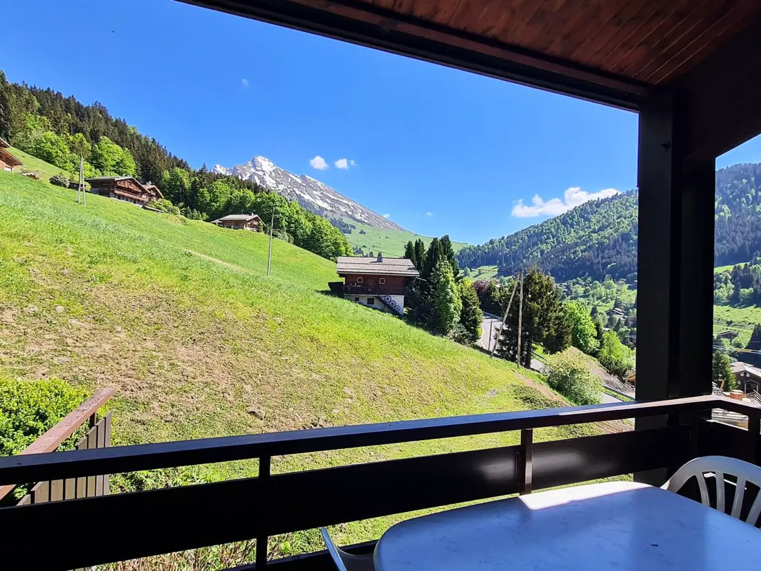 Location de Vacances La Clusaz 594