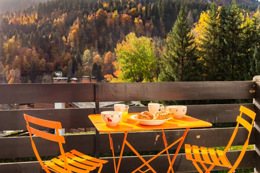Appartement Avec Balcon à Proximité Des Pistes
