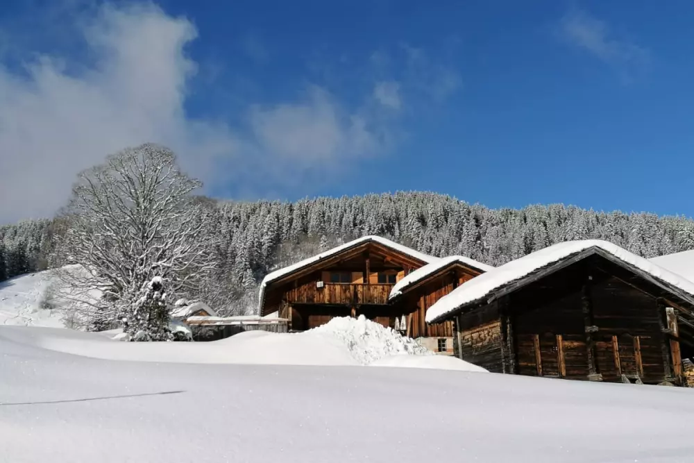 Chalet Aux Pieds Du Domaine Nordique