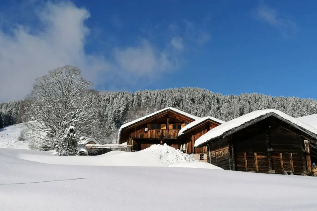 Chalet Aux Pieds Du Domaine Nordique