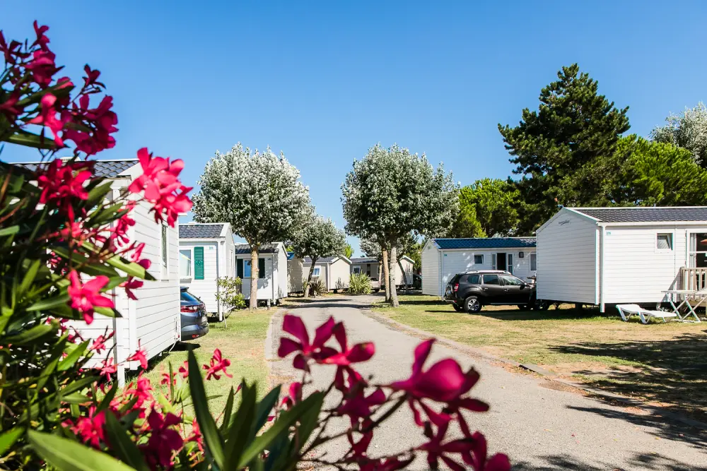 Camping  L'Océan & Spa 5 étoiles★★★★★
