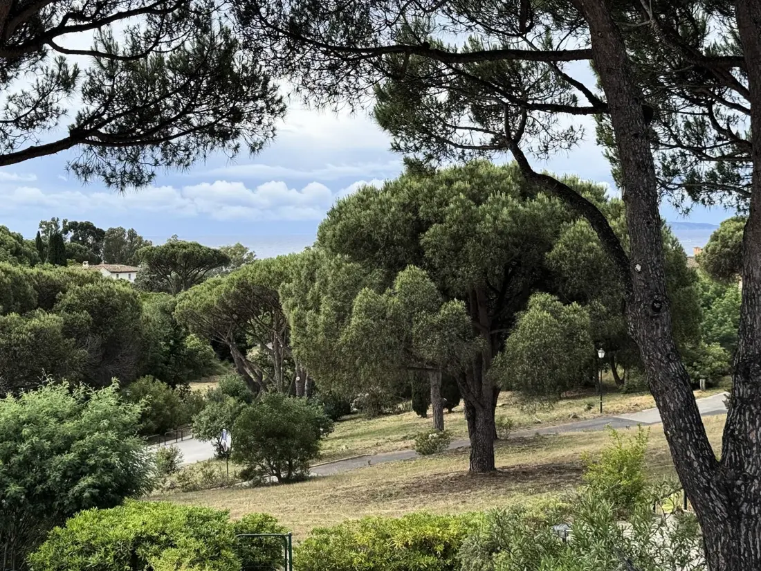 Location de Vacances La Croix-Valmer 102