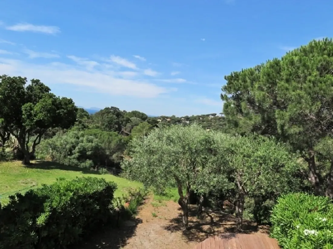 Location de Vacances La Croix-Valmer 38
