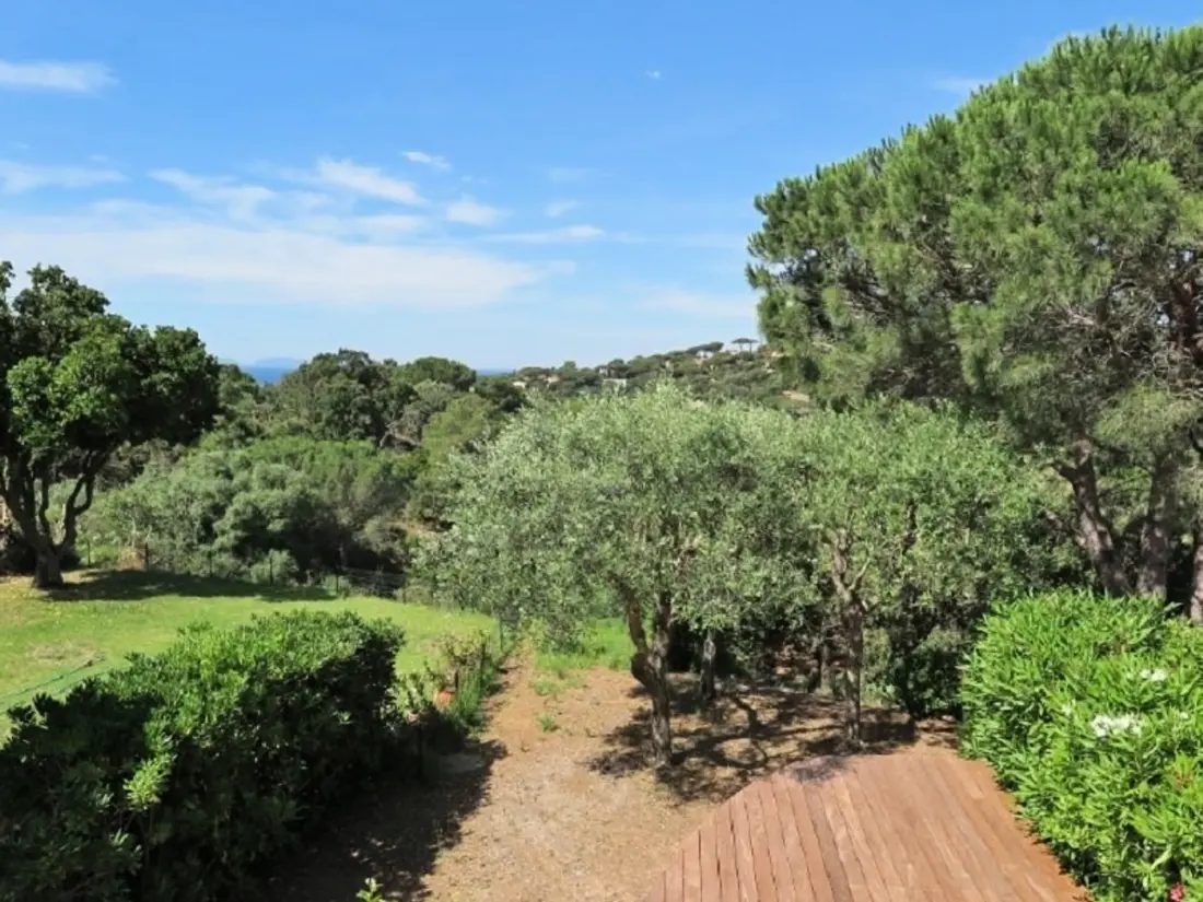 Location de Vacances La Croix-Valmer 38
