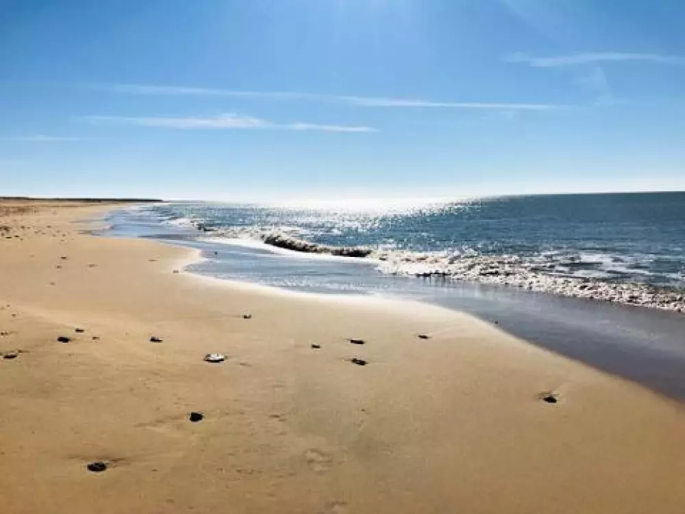 Camping Paradis - Le Grand R  4 étoiles★★★★