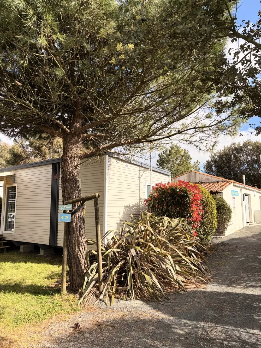 Camping Paradis Le Grand'R 4 étoiles★★★★