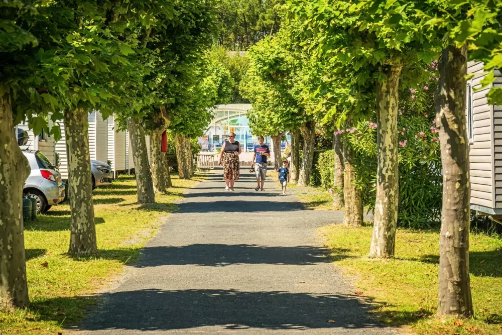 Camping Les Flots Bleus 4 étoiles★★★★