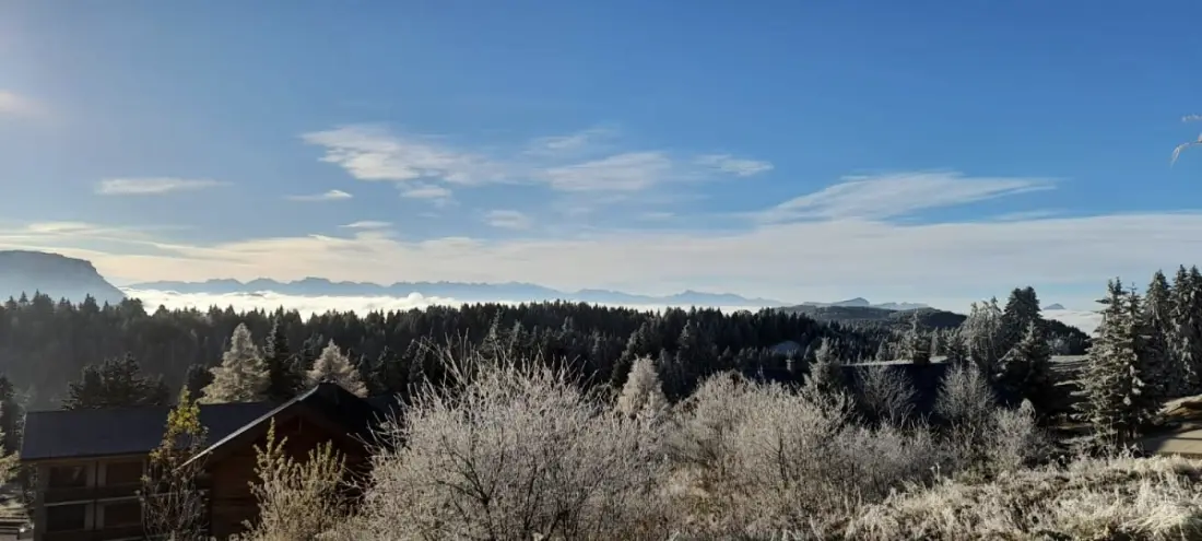 Magnifique  Appartement Vue Mont Blanc