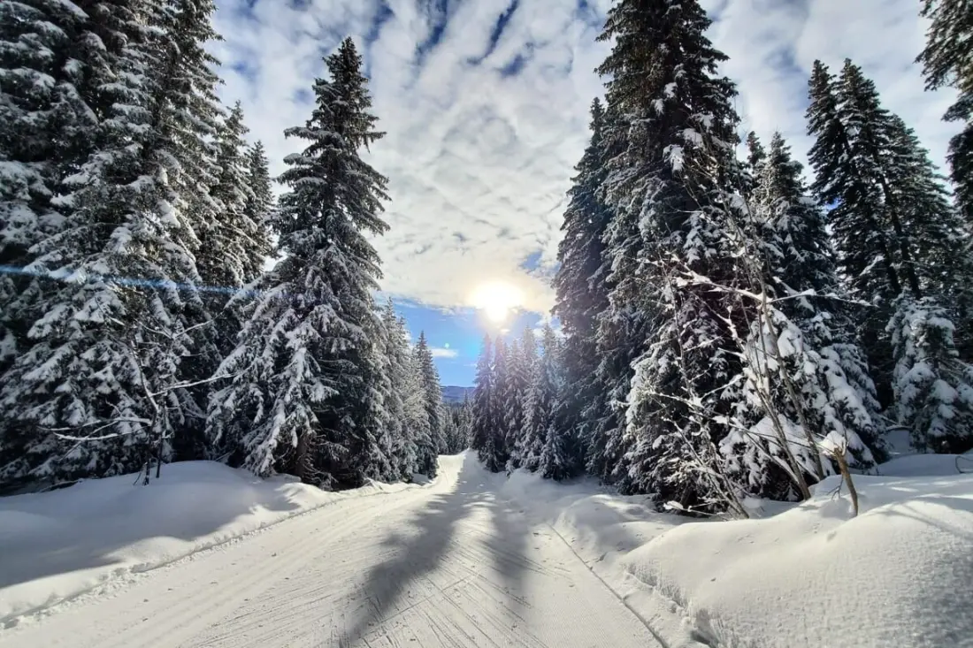 Chaleureux Studio Au Pied Des Pistes - Le Refuge 2 étoiles★★