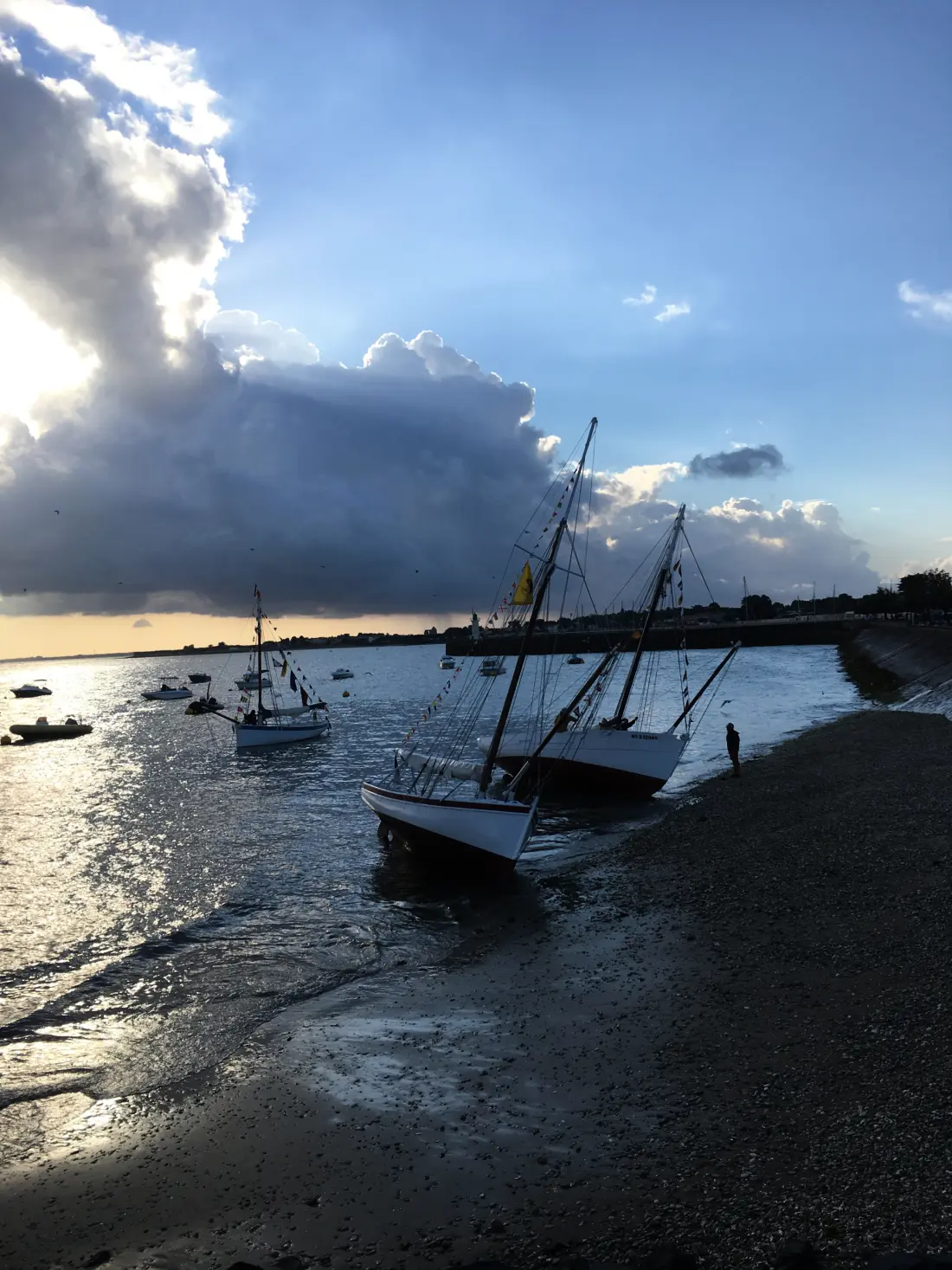 Appartements à La Flotte en Ré