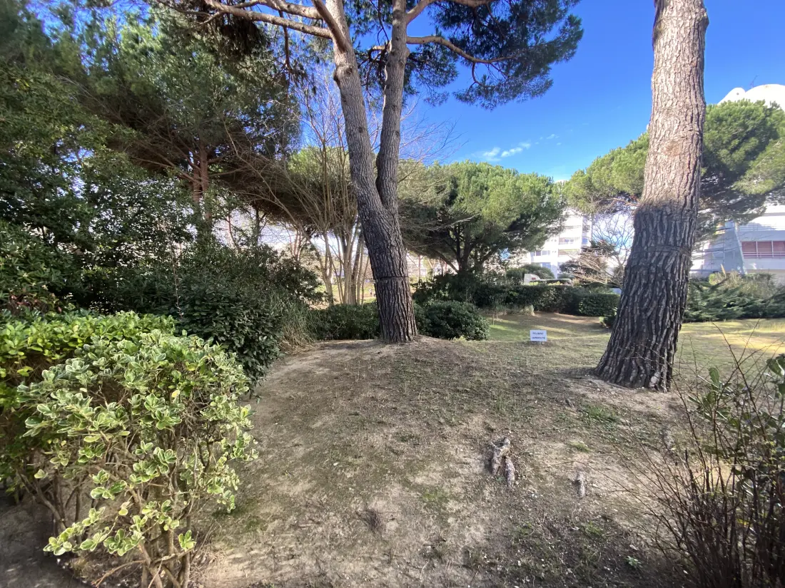 Appartements à La Grande-Motte