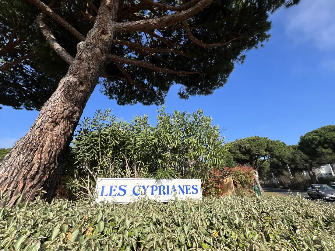 Appartements à La Grande-Motte