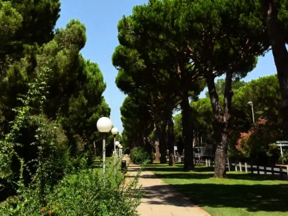 Camping Maïana Resort 4 étoiles★★★★