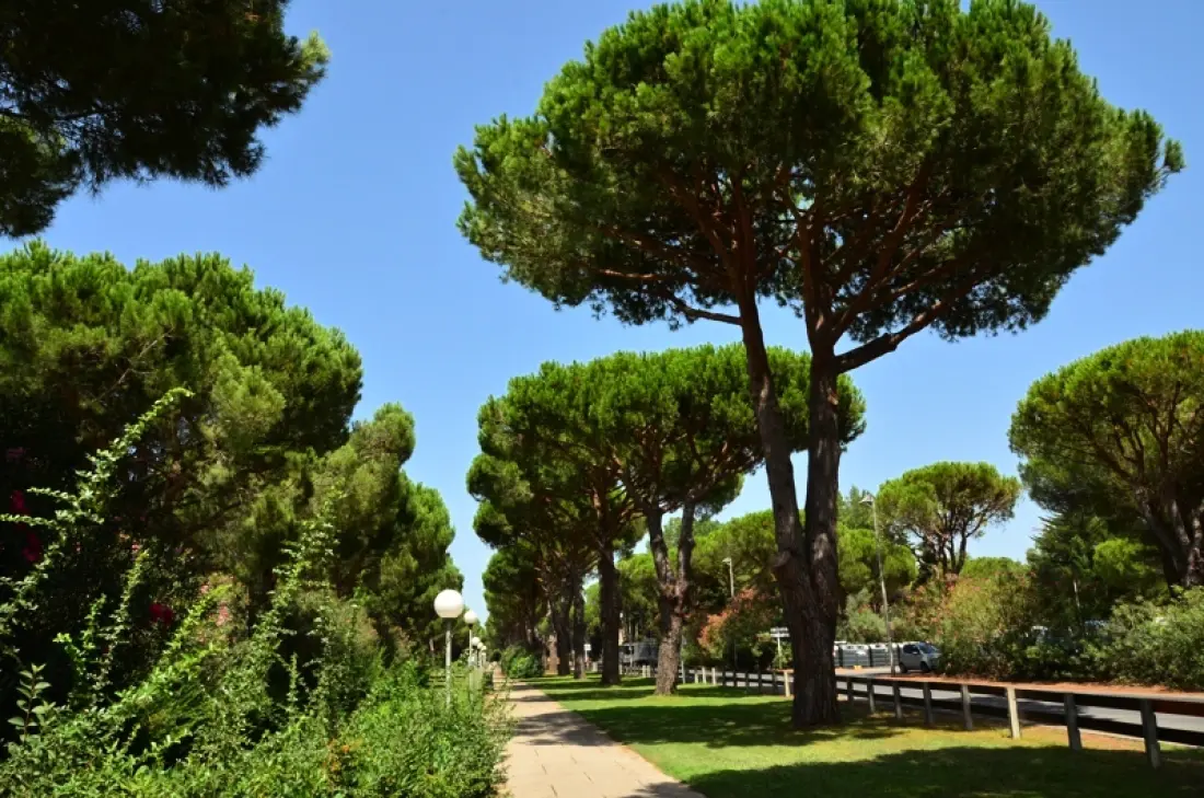 Camping Maïana Resort4 étoiles★★★★