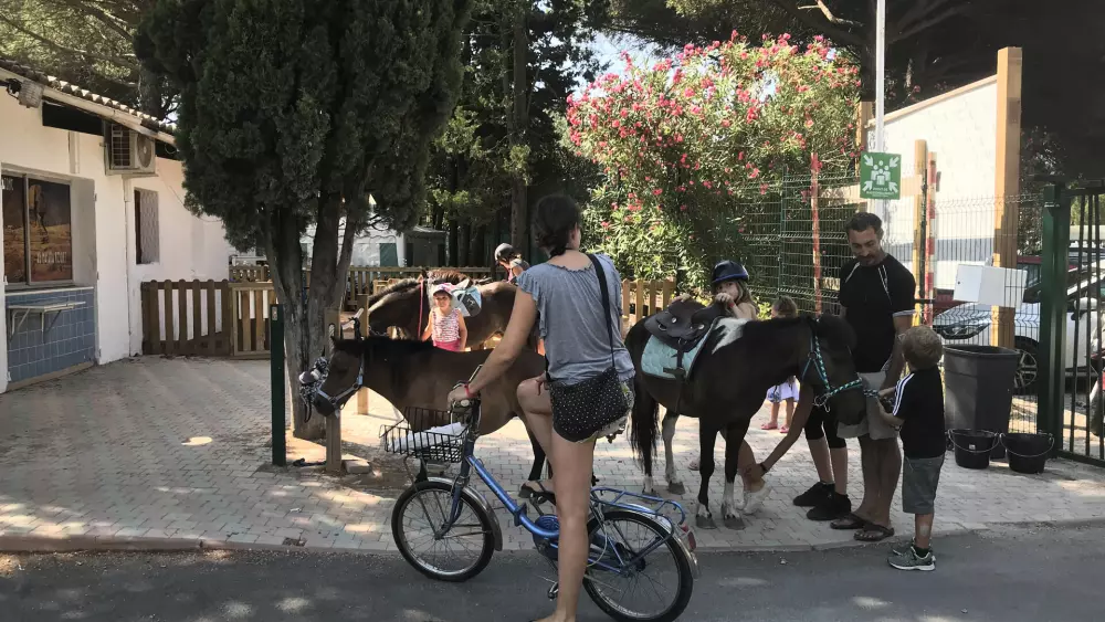 Camping Maïana Resort4 étoiles★★★★