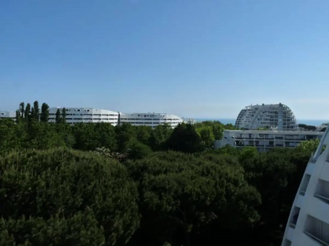 Location de Vacances La Grande-Motte 146