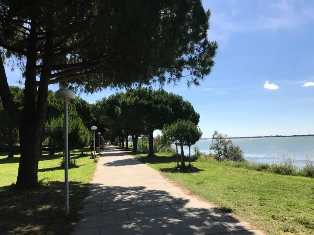 Location de Vacances La Grande-Motte 404