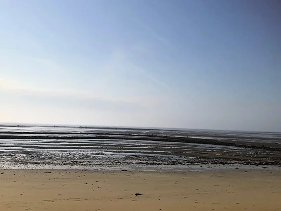 Appartements à La guerinière - Ile de Noirmoutier