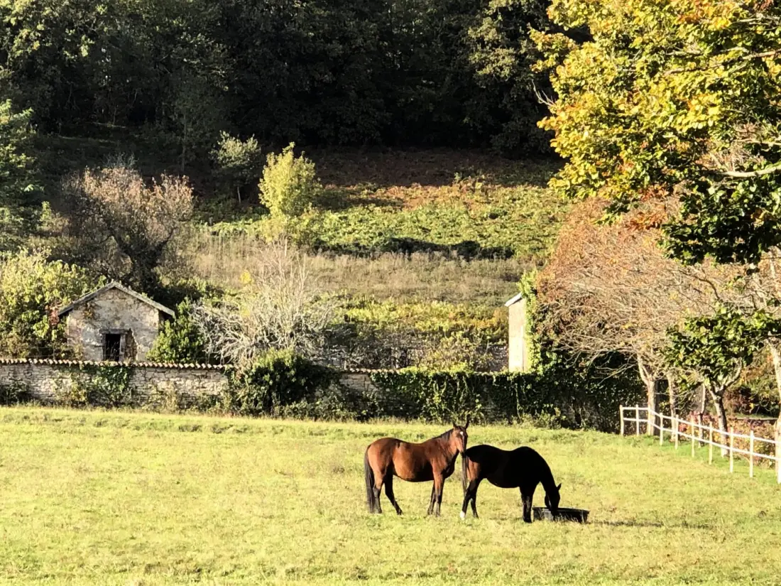 Gîte de France L'orangerie 4 épis