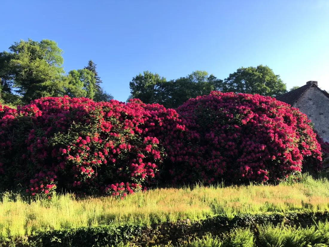 Gîte de France L'orangerie 4 épis
