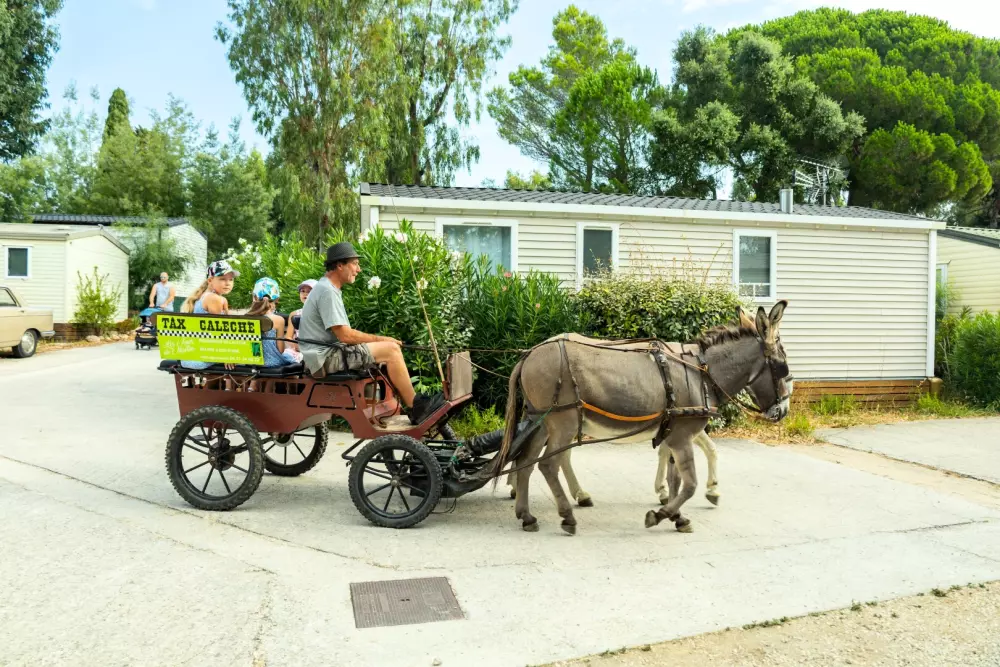 Camping maeva Escapades Parc Valrose 4 étoiles★★★★