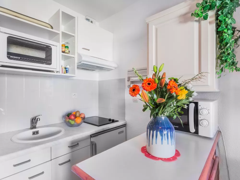 Résidence Les Canoubiers III