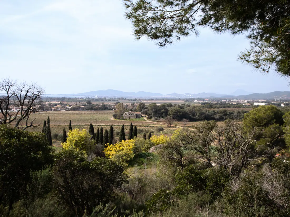 Résidence Nouvelles Terres E4