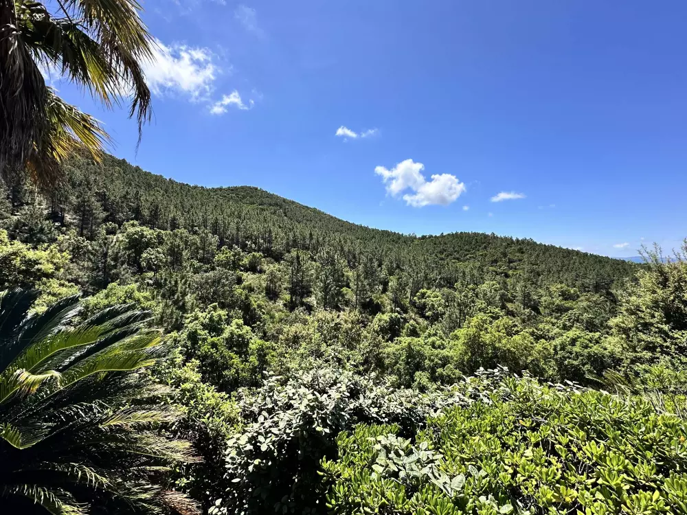 Résidence Villa Blanche-la Londe Les Maures