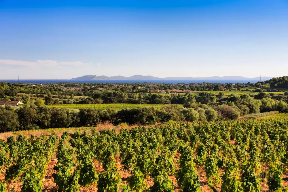 Résidence Villa Blanche-la Londe Les Maures