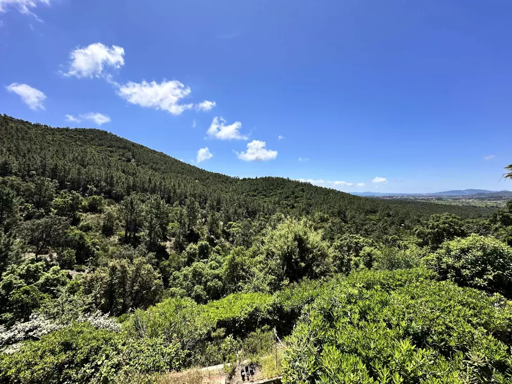 Résidence Villa Blanche-la Londe Les Maures
