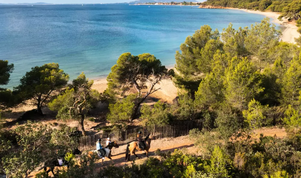 Résidence Villa Marguerite-la Londe Les Maures
