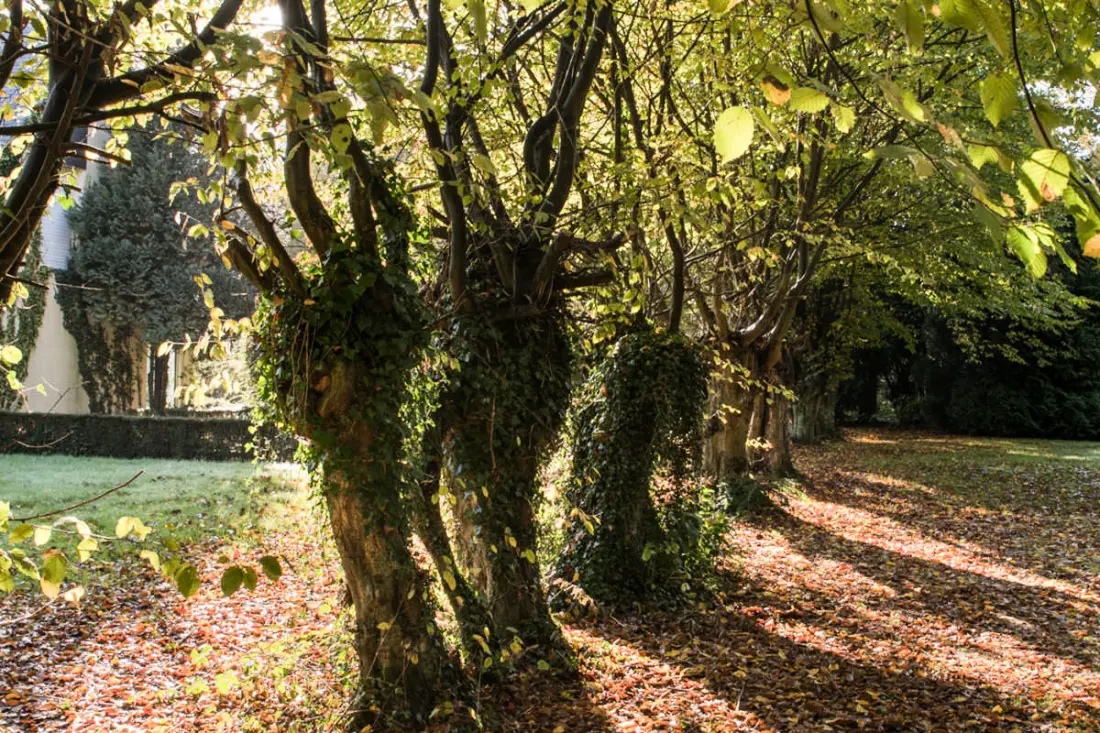 Gîte de France Gîtes de france® - les prés des charmilles 3 épis