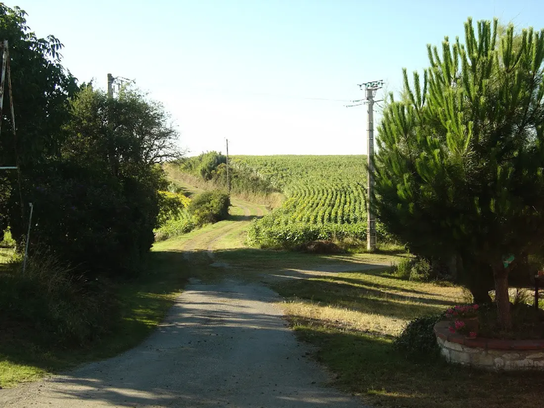 Gîte de France à La Louviere Lauragais  2