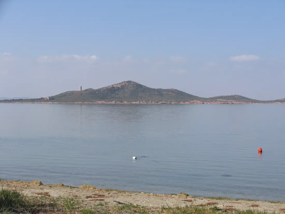 Apartamentos Tesy