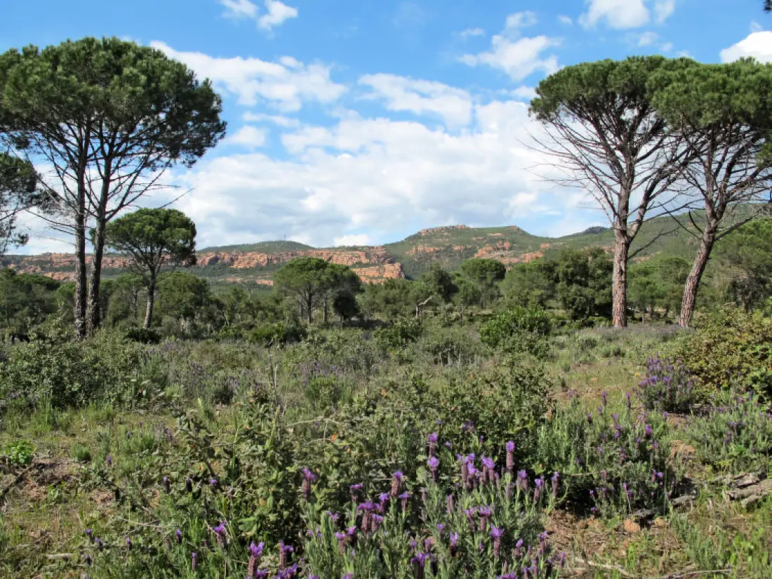 Maison de Vacances La Motte en Provence