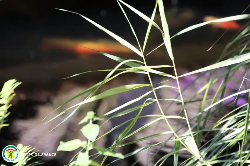 Gîte de France Gravelette 3 épis