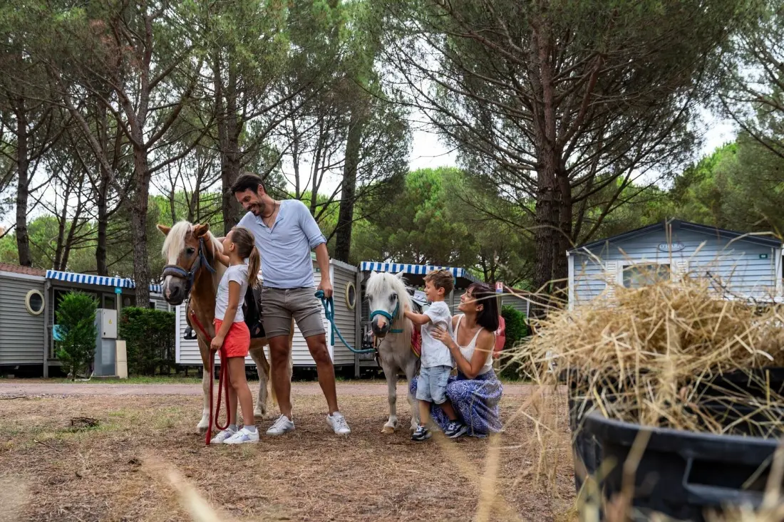 Camping Sandaya l'Estanquet5 étoiles★★★★★