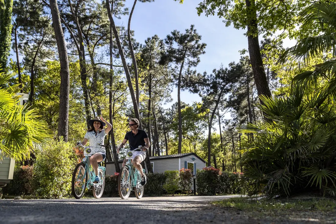 Camping Sandaya l'Orée du Bois5 étoiles★★★★★
