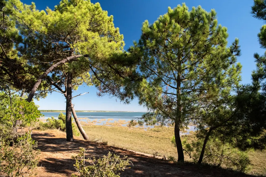Camping Club La Côte Sauvage5 étoiles★★★★★ - MS Vacances