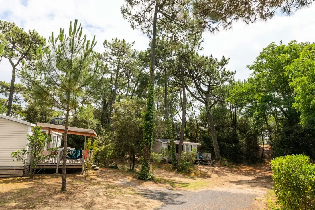 Camping Club La Côte Sauvage5 étoiles★★★★★ - MS Vacances