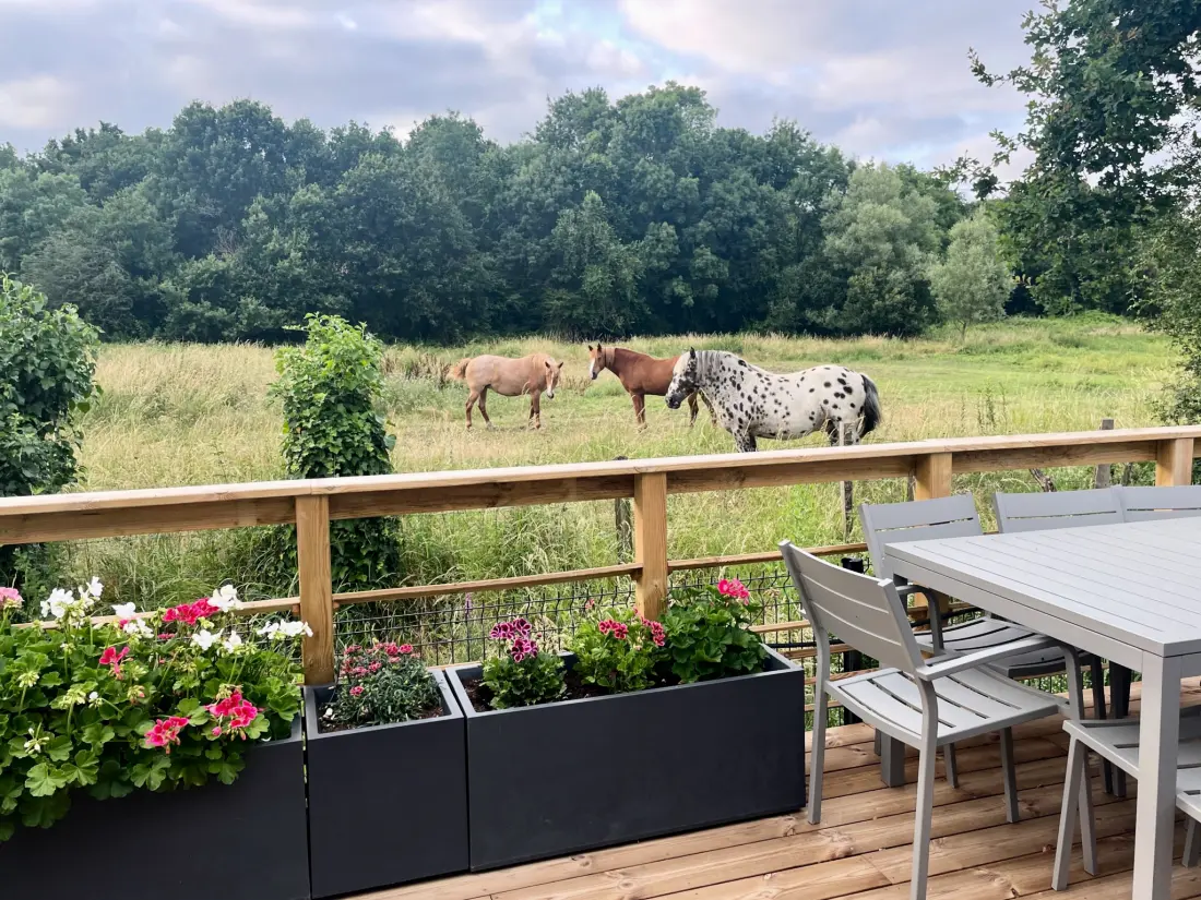 Camping Ecolodges Domaine de la Forêt - by Océan Mobilhomes