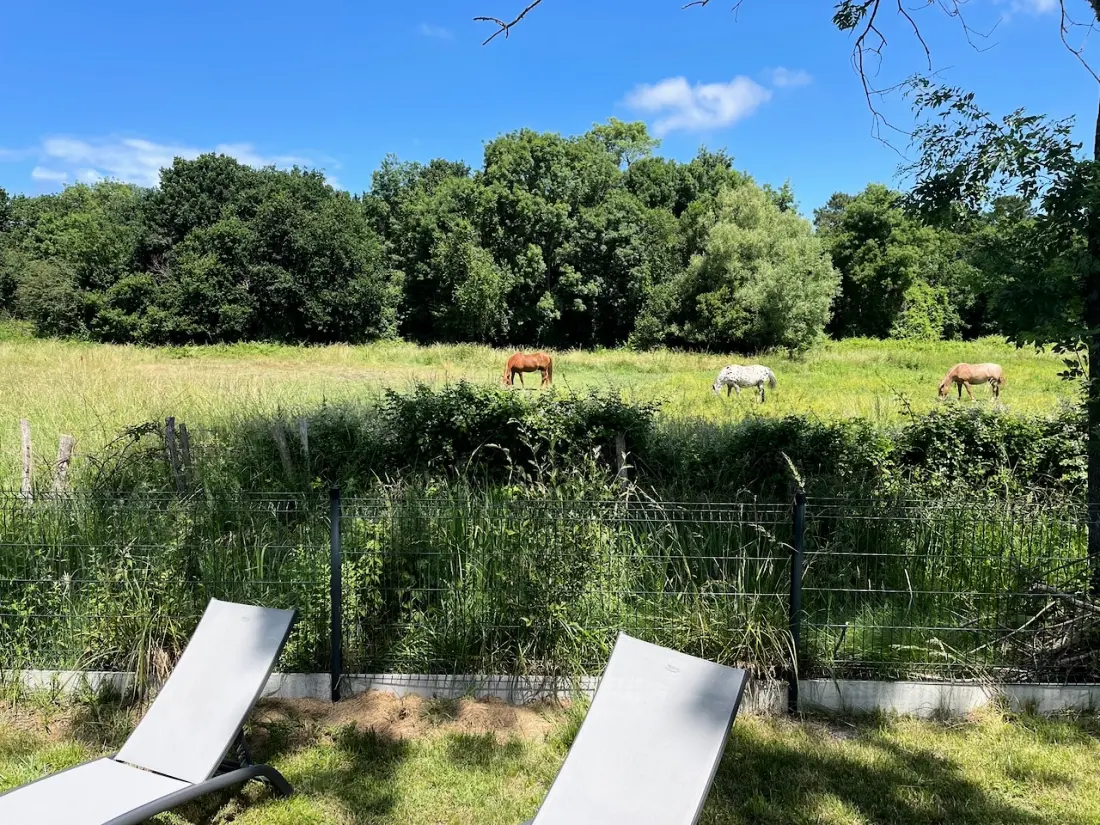 Camping Ecolodges Domaine de la Forêt - by Océan Mobilhomes