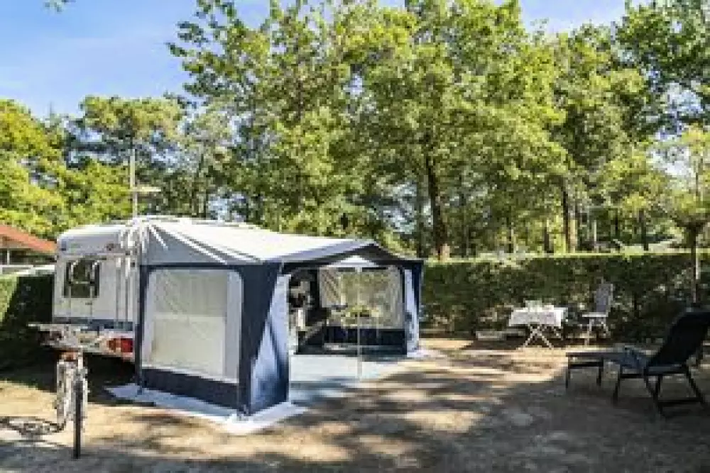 Camping Sandaya l'Orée du Bois5 étoiles★★★★★